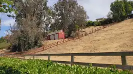 Red Nellie Gail Fixer Barn
